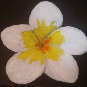Acrylic plumeria painting
